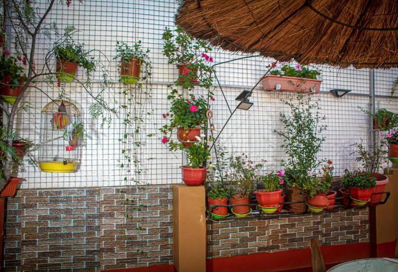 اتاق استاندارد, Virgen Del Carmen   Huaraz
