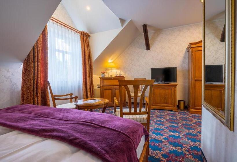 Номер Стандартный с Видом, Boutiquehotel Schloßpalais