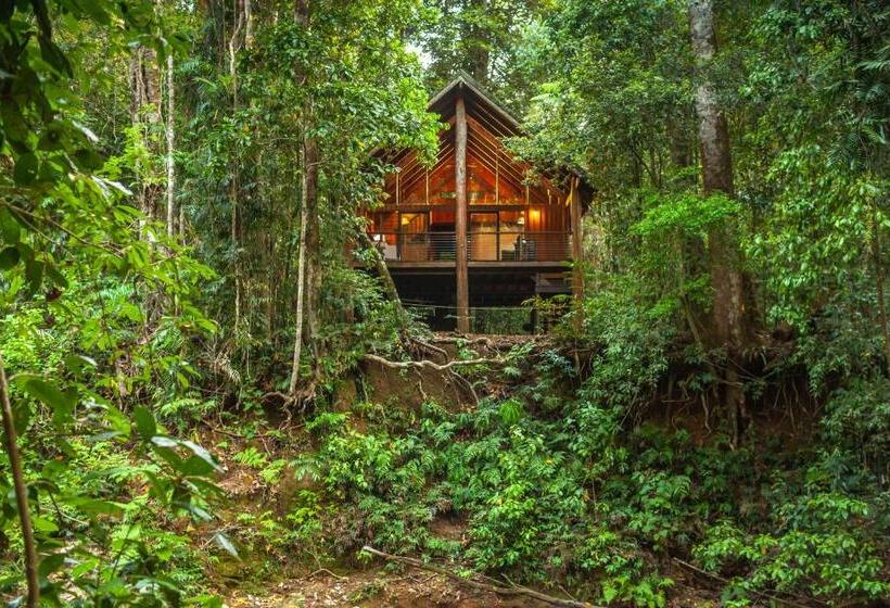 침실 2개 주택, The Canopy Rainforest Treehouses & Wildlife Sanctuary