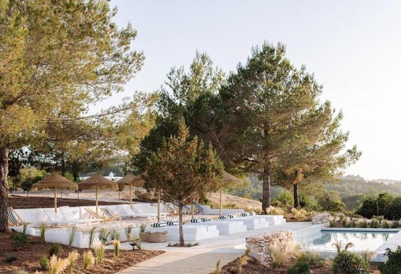 اتاق سوپریور چهار تخته, Agroturismo Can Domo