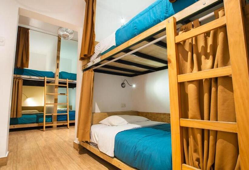 공동 객실, Viajero Paracas Hostel