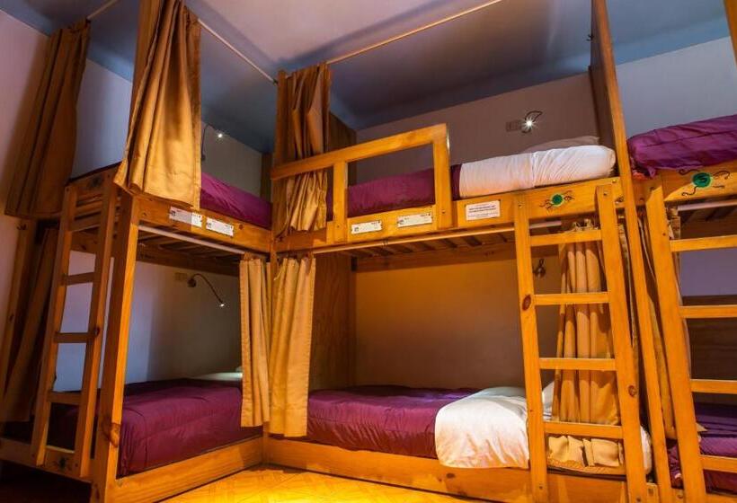 공동 객실, Viajero Paracas Hostel