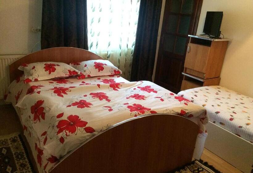 Трехместный Номер Комфорт, Casa Ionela Petreus