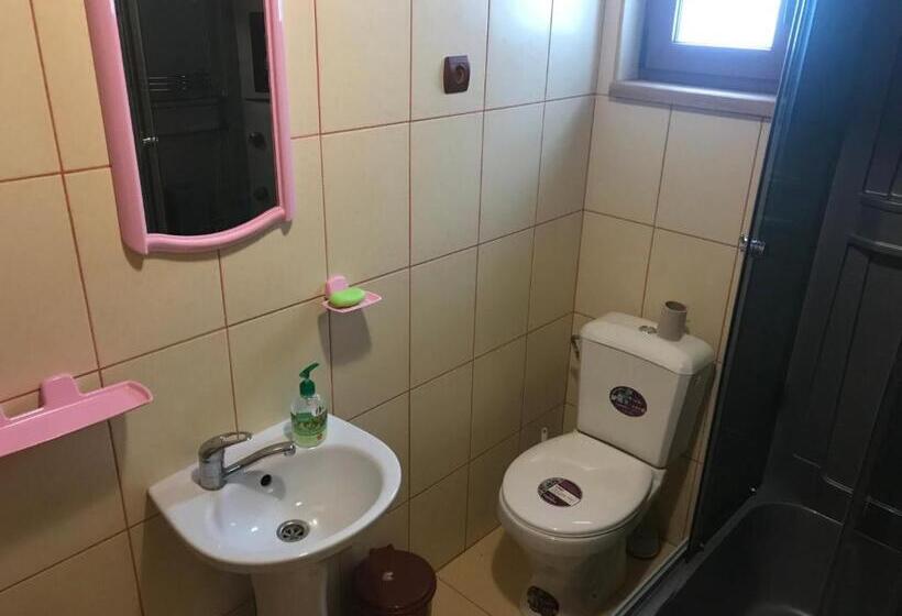 Номер Deluxe, Shelest Vody