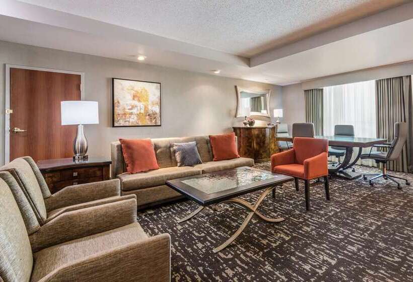سوئیت با تخت بزرگ, Embassy Suites By Hilton Dulles North Loudoun