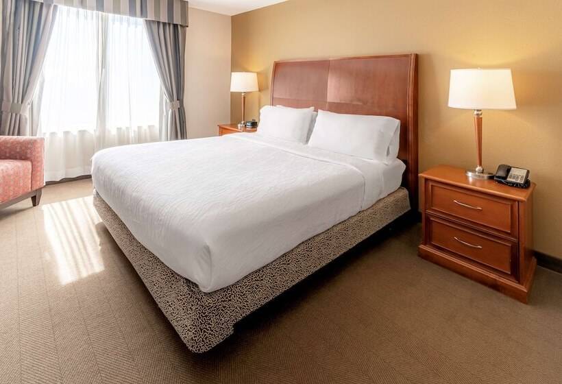 Engelliler için Standart Oda, Hilton Garden Inn Houston/the Woodlands
