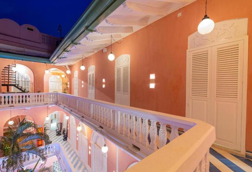 스탠다드 룸, Casa Movida Hostel