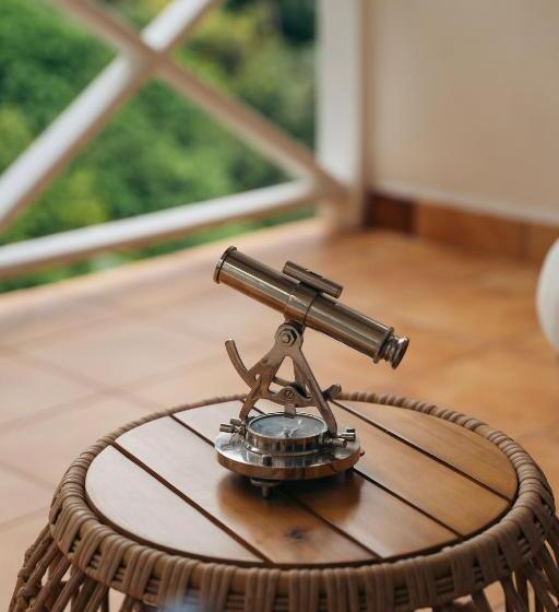 سوئیت با تخت بزرگ, Blue Roatan Resort