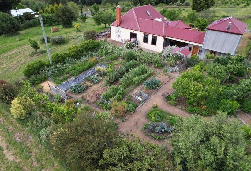 이코노미 룸, Cherry Top Farmstay  Boutique Eco Village
