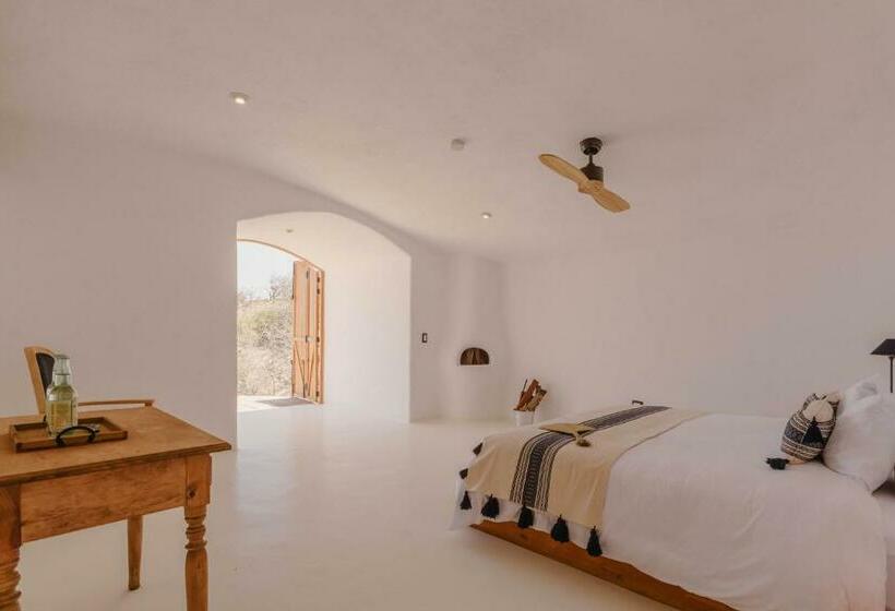 غرفة قياسية مزوَّدة بتراس, The White Lodge