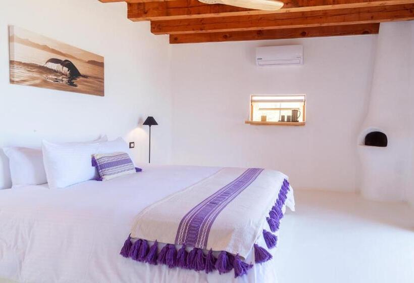 غرفة ديلوكس مطلّة علي البحر مزوَّدة بشُرفة, The White Lodge