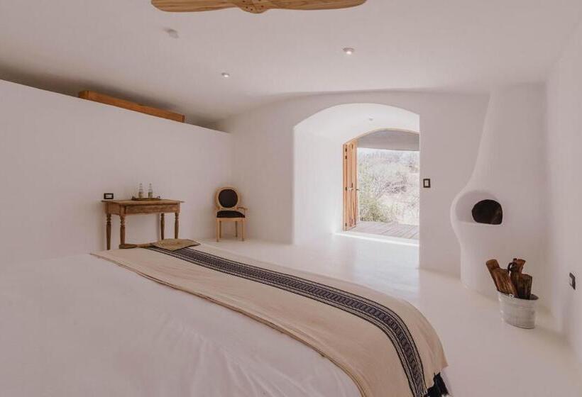 غرفة قياسية مزوَّدة بتراس, The White Lodge