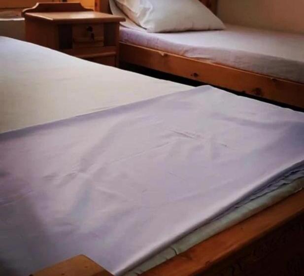 اتاق استاندارد با تخت بزرگ, Chitral Green Guest House