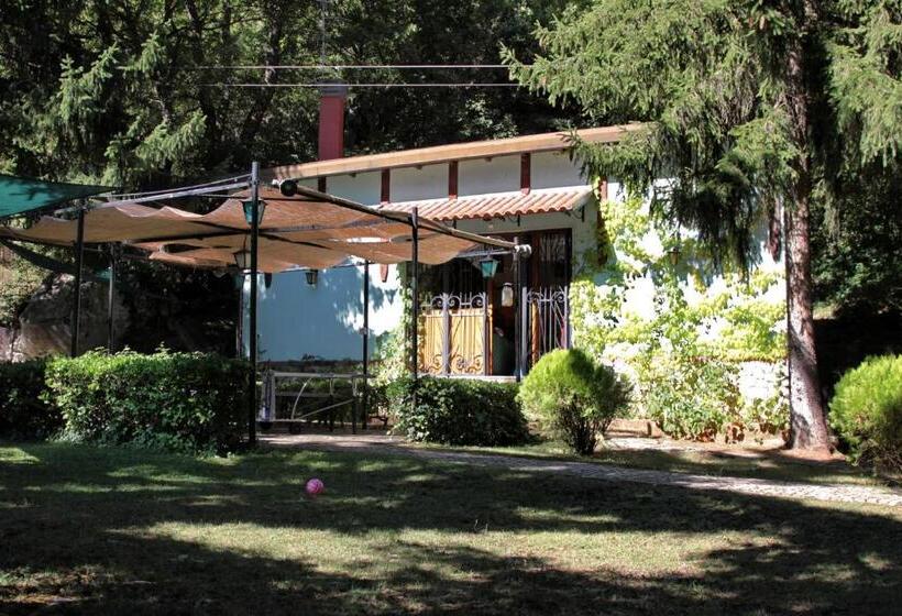 آپارتمان 1 خوابه, B&b Villa Tina