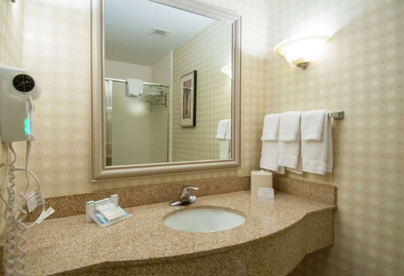 Номер Стандарт, Hilton Garden Inn Jackson Pearl