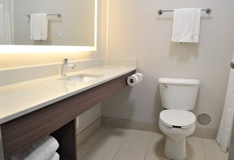 スタンダードルーム, Holiday Inn Express & Suites Batesville, An Ihg