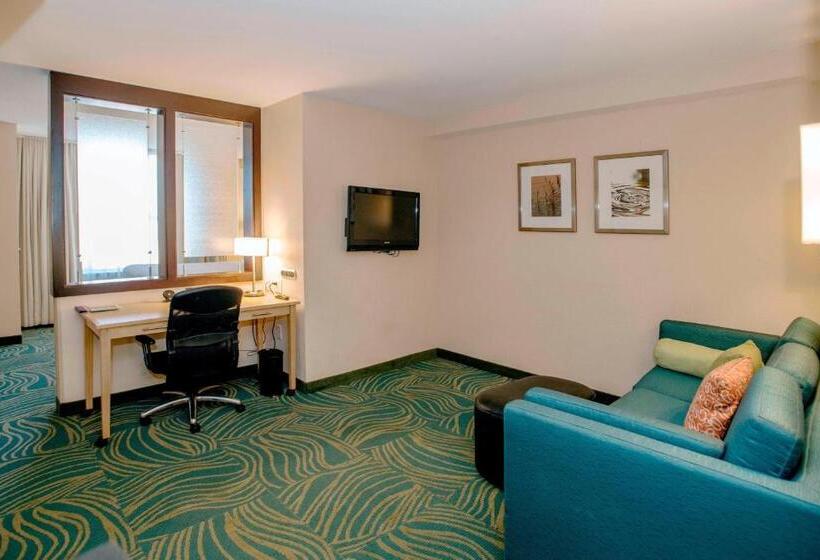 스위트 킹사이즈 침대, Springhill Suites By Marriott Pueblo Downtown