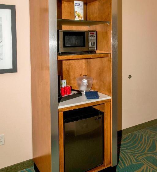 스위트, Springhill Suites By Marriott Pueblo Downtown