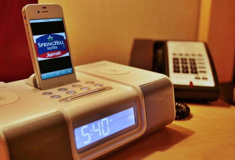 스탠다드 스튜디오 킹침대, Springhill Suites By Marriott Pueblo Downtown
