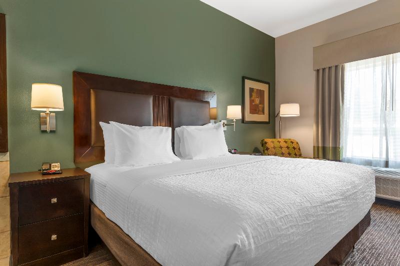 带大床的标准间, Best Western Plus Duncanville/dallas