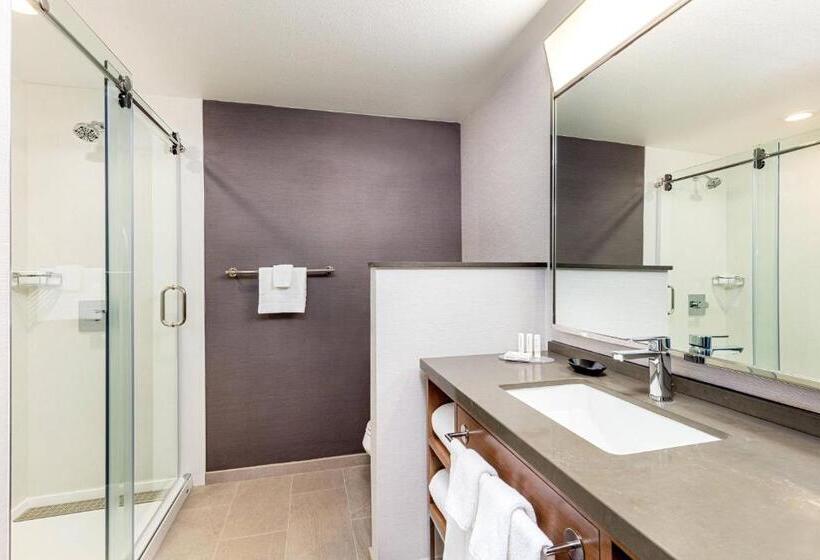 Habitación Estándar, Courtyard By Marriott Anaheim Resort/convention Center