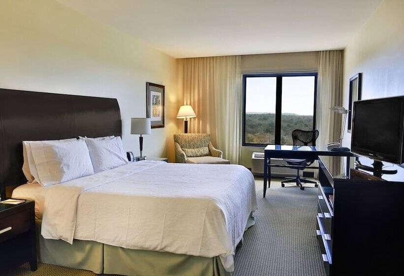 Полулюкс, Hilton Garden Inn Guanacaste Airport