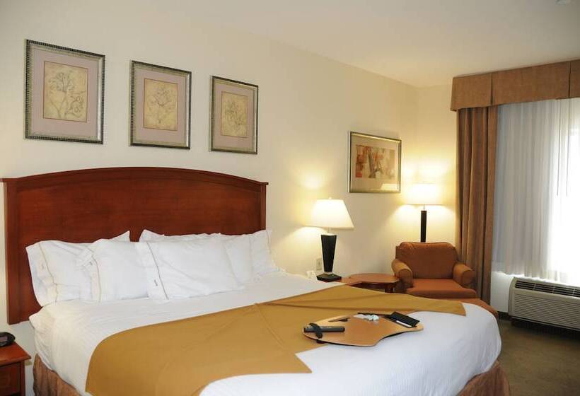 Номер Стандарт, Holiday Inn Express Hotel & Suites Dallas   Grand Prairie I 20, An Ihg