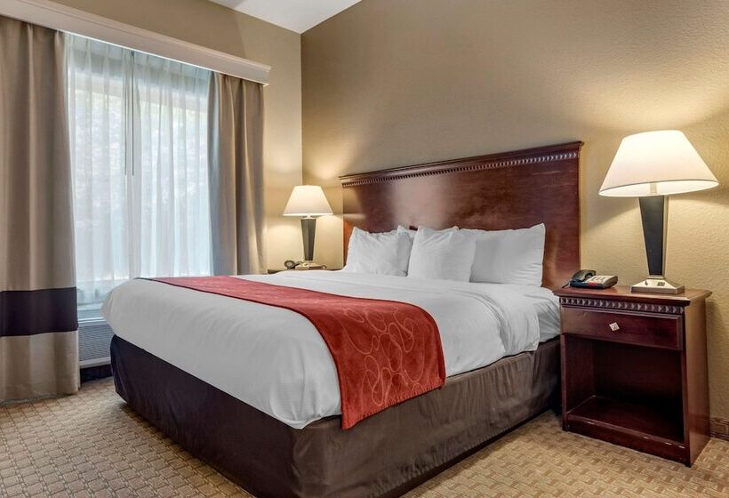 Люкс, Comfort Suites Biloxi/ocean Springs