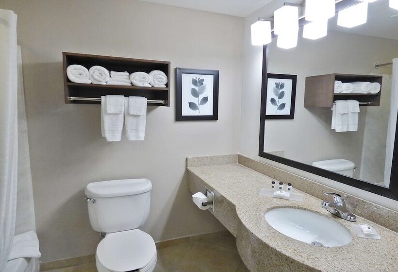 سوییت, Country Inn & Suites By Radisson, Tampa Brandon, Fl