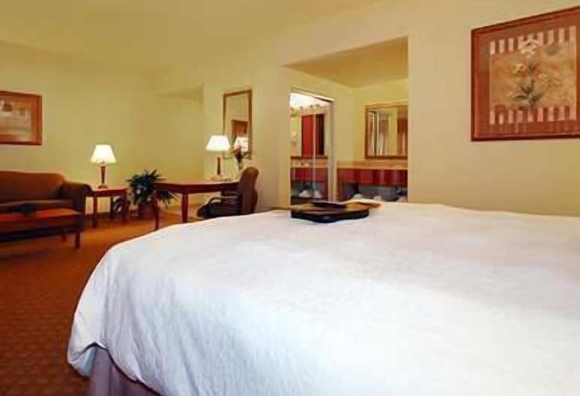 Номер Стандарт, Hampton Inn & Suites Pharr