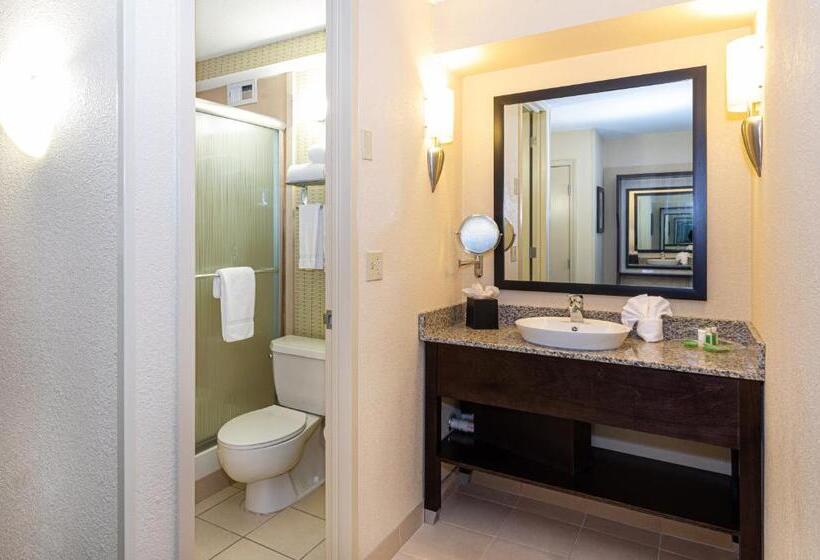 Номер Executive Кровать Кинг, Holiday Inn St. Louis Airport West Earth City, An Ihg