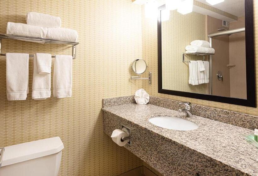 Люкс Кровать Кинг, Holiday Inn St. Louis Airport West Earth City, An Ihg