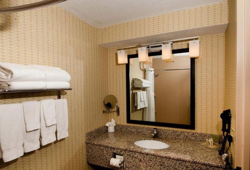 Номер Стандарт Адаптированный для Инвалидов, Holiday Inn St. Louis Airport West Earth City, An Ihg