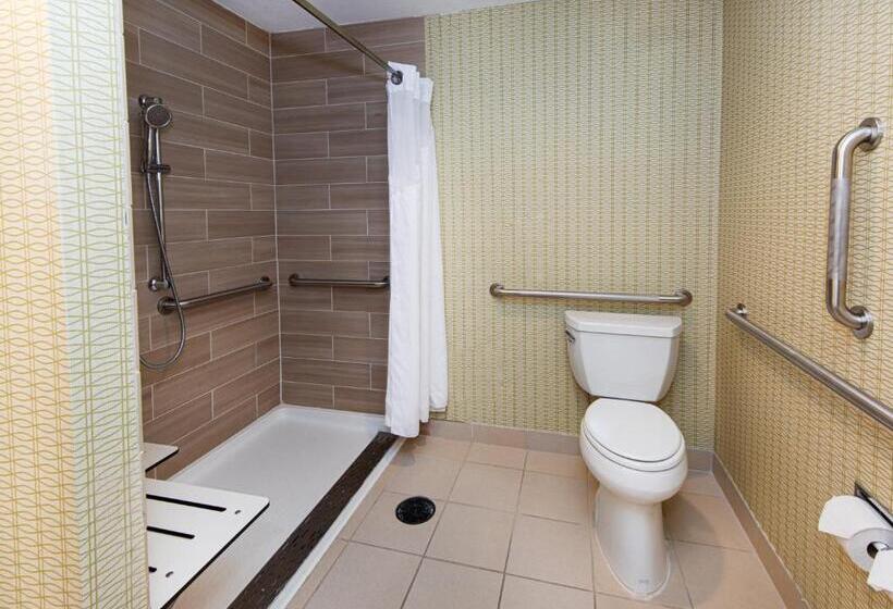 Номер Стандарт Адаптированный для Инвалидов, Holiday Inn St. Louis Airport West Earth City, An Ihg