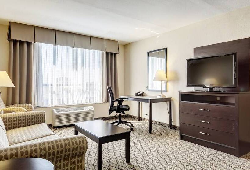 Люкс Адаптированный для Инвалидов, Holiday Inn St. Louis Airport West Earth City, An Ihg