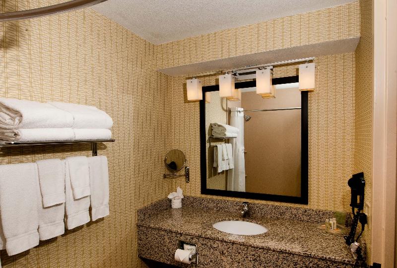 Номер Стандарт Адаптированный для Инвалидов, Holiday Inn St. Louis Airport West Earth City, An Ihg