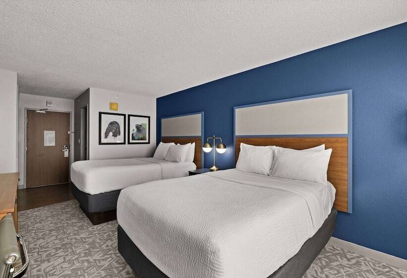 Номер Стандарт 2 Двуспальные Кровати, Americinn By Wyndham Casper Event Center Area