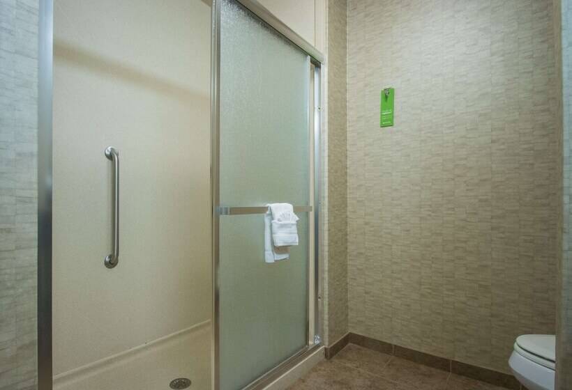 Номер Стандарт, Hampton Inn Greenville