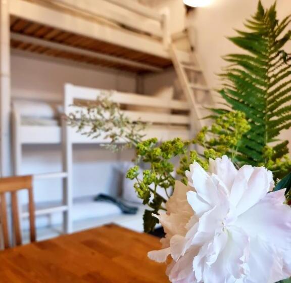 Апартаменты 1 Спальня Нижний Этаж, Hostel Lollis Homestay Dresden