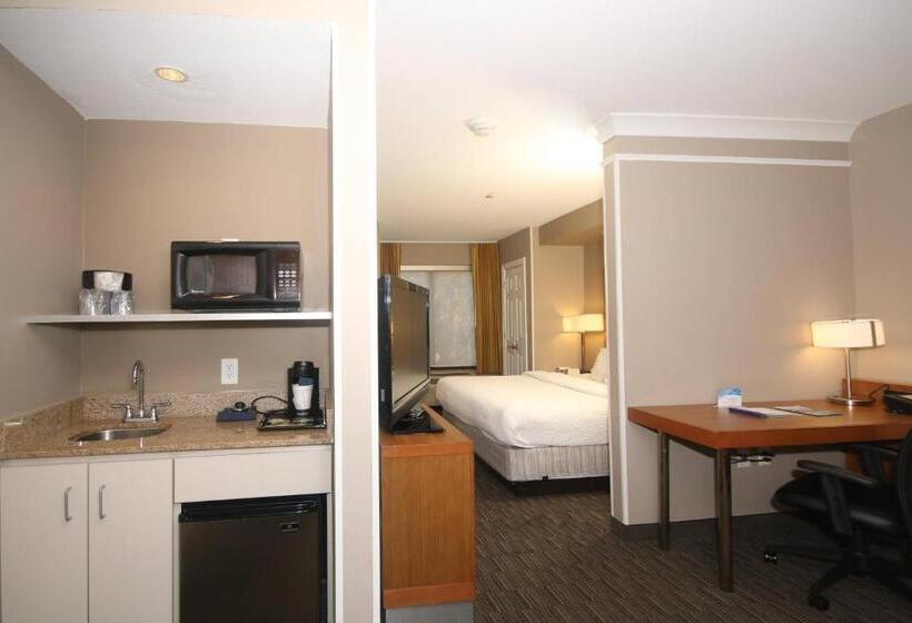 Студио Стандарт Кровать Кинг, Springhill Suites By Marriott Charleston North