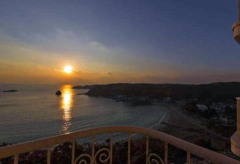 Номер Стандарт, Shimoda View