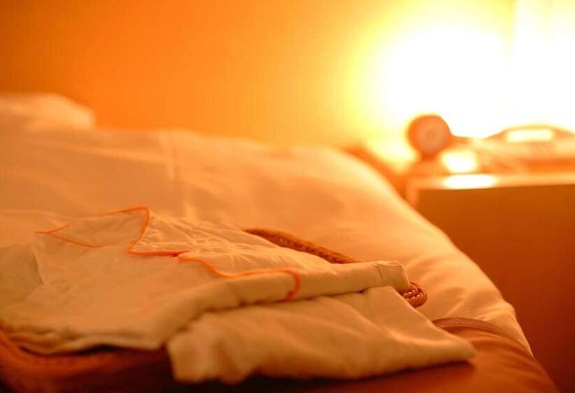 اتاق استاندارد, Spa Hotel Alpina Hida Takayama