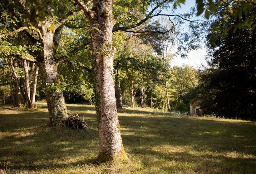 Бунгало Стандарт Вид на Сад, Les écolodges Du Château De Charnizay