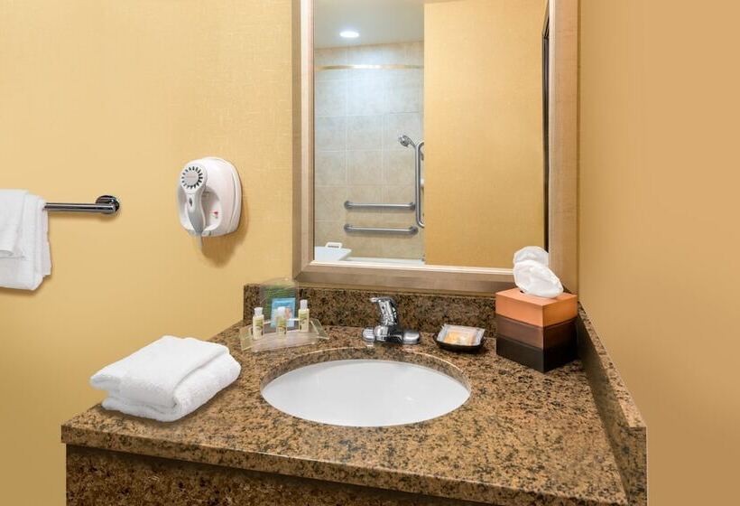 Номер Стандарт, Holiday Inn Hotel & Suites Grand Junction Airport, An Ihg
