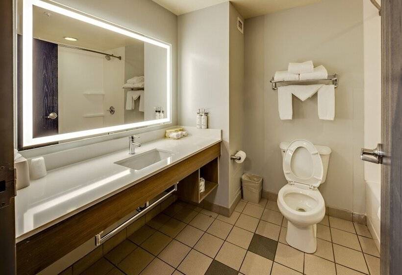Номер Стандарт, Holiday Inn Express Hotel & Suites Ohio State University  Osu Medical Center, An Ihg