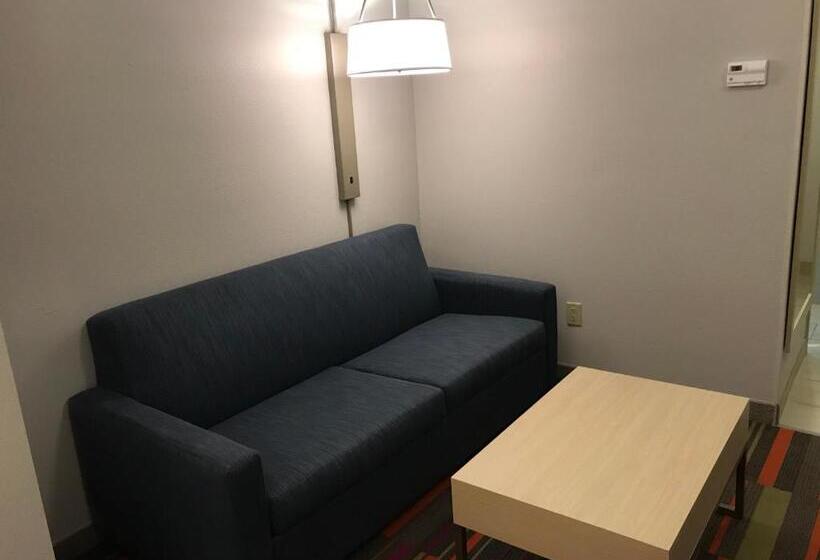מיטת קינג בסוויטה, Holiday Inn Express Orlando   South Davenport, An Ihg