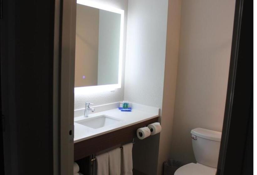 Suíte Cama King, Holiday Inn Express Orlando   South Davenport, An Ihg