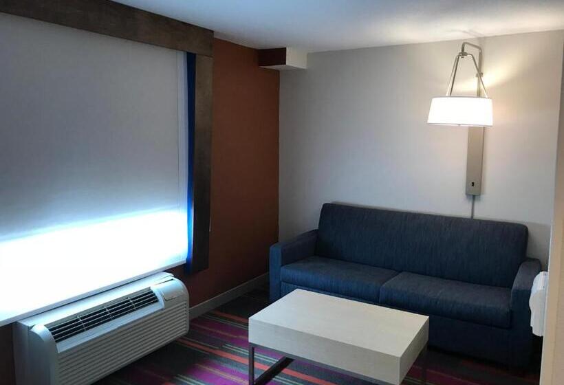 Suíte para Deficientes Físicos, Holiday Inn Express Orlando   South Davenport, An Ihg