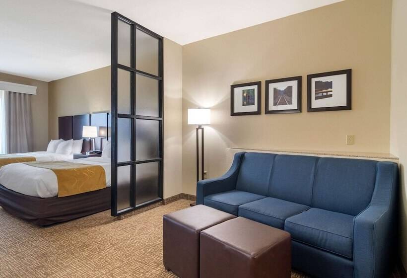 סוויטה מותאמת לאדם עם מוגבלויות, Comfort Suites Byron Warner Robins