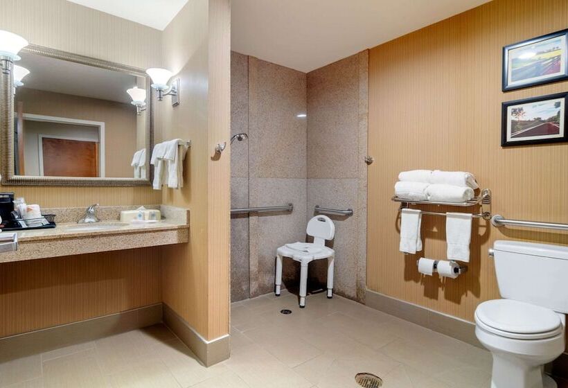 סוויטה מותאמת לאדם עם מוגבלויות, Comfort Suites Byron Warner Robins